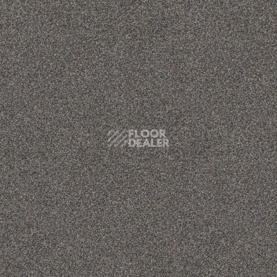 Ковровая плитка Interface Level Up 4267010 Greige фото 1 | FLOORDEALER